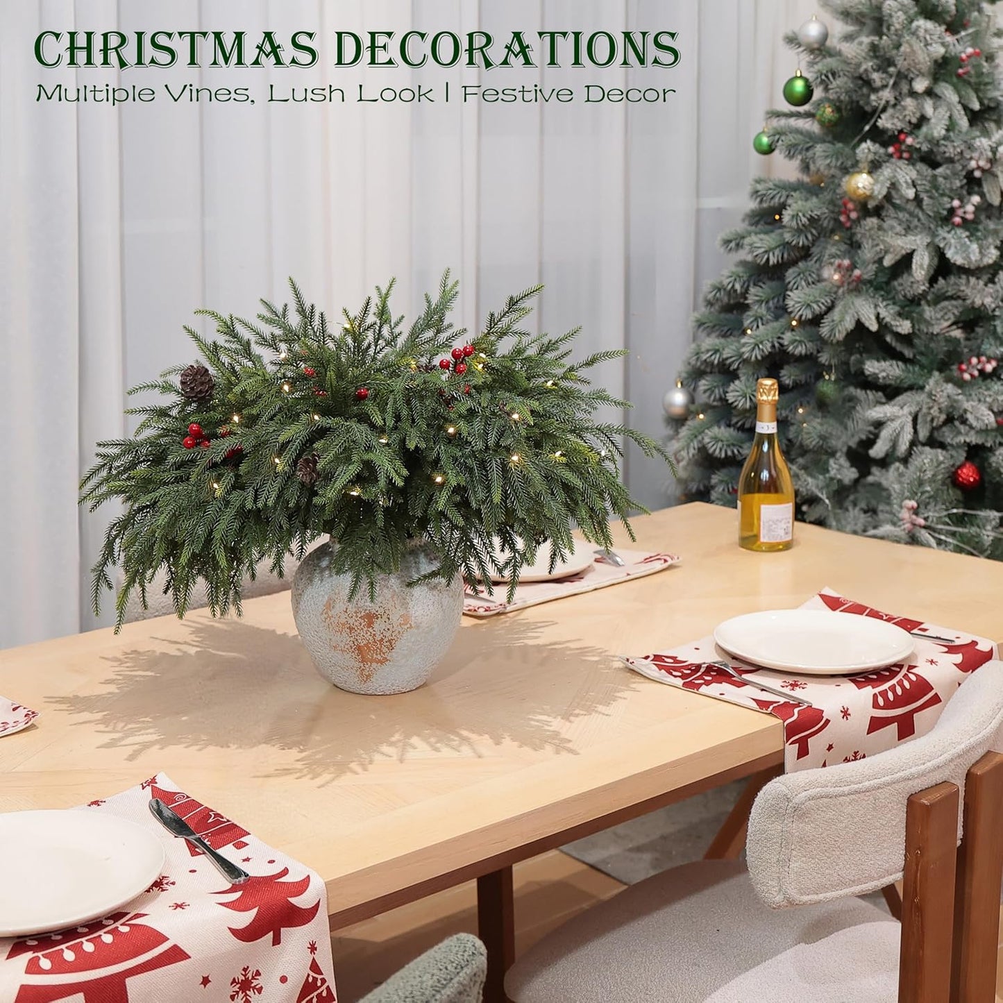 Norfolk Pine Branches