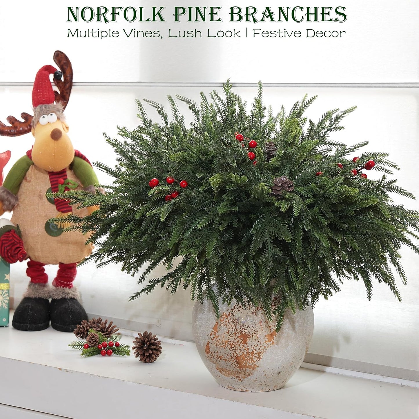 Norfolk Pine Branches